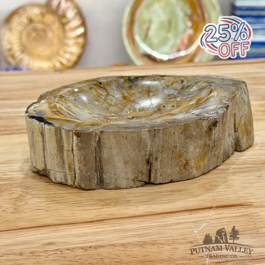 Reserve Madagascar Petrified Wood Rustic Bowl 6.5’’ - Bowl