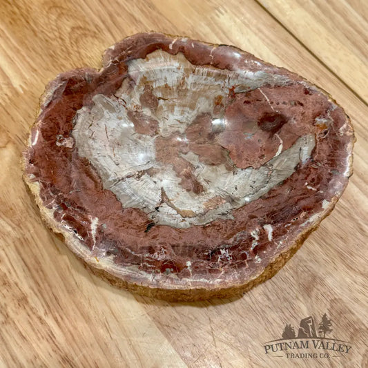 Reserve Madagascar Petrified Wood Rustic Bowl 6.5’’ Bowl