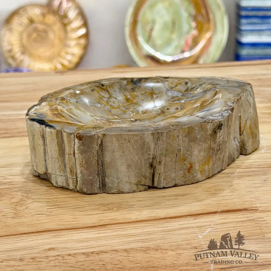 Reserve Madagascar Petrified Wood Rustic Bowl 6.5’’ - Bowl