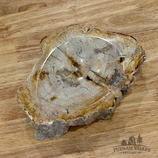 Reserve Madagascar Petrified Wood Rustic Bowl 6.5’’ - Bowl