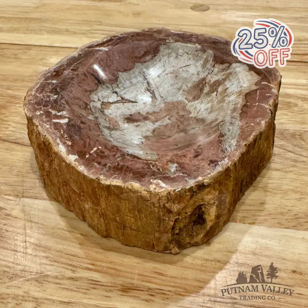 Reserve Madagascar Petrified Wood Rustic Bowl 6.5’’ Bowl