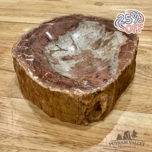 Reserve Madagascar Petrified Wood Rustic Bowl 6.5’’ Bowl