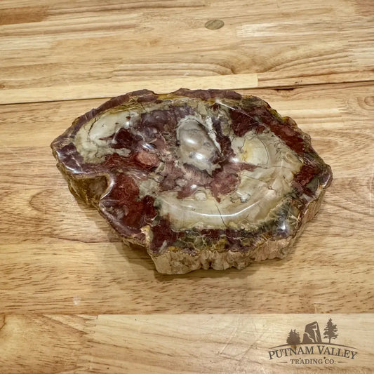 Reserve Madagascar Petrified Wood Rustic Bowl 6.75’’ Bowl