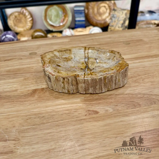 Reserve Madagascar Petrified Wood Rustic Bowl 6.85’’ - Bowl
