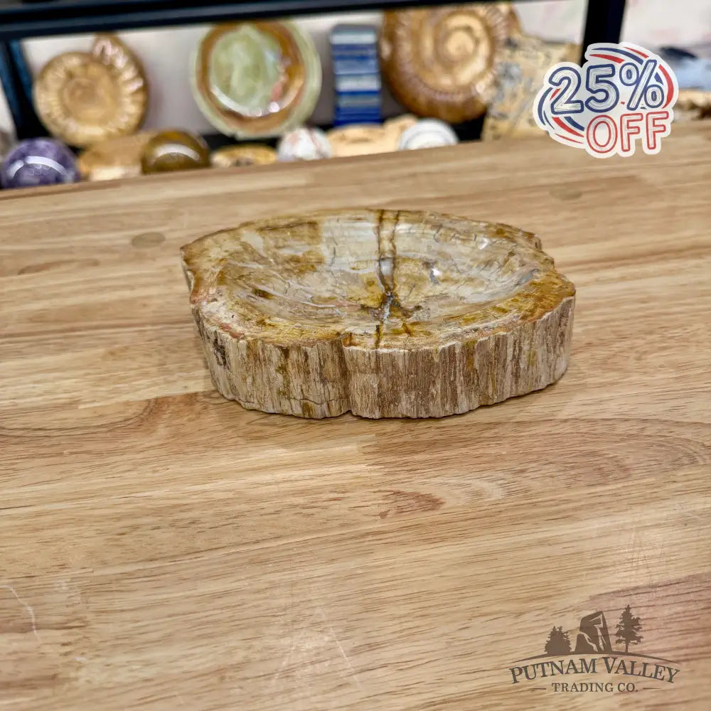 Reserve Madagascar Petrified Wood Rustic Bowl 6.85’’ - Bowl