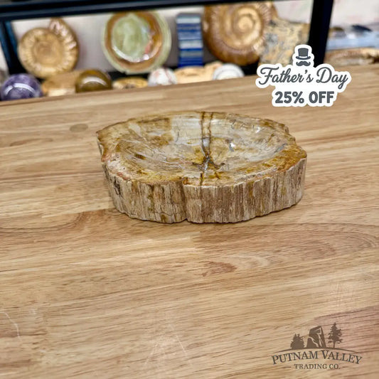 Reserve Madagascar Petrified Wood Rustic Bowl 6.85’’ - Bowl