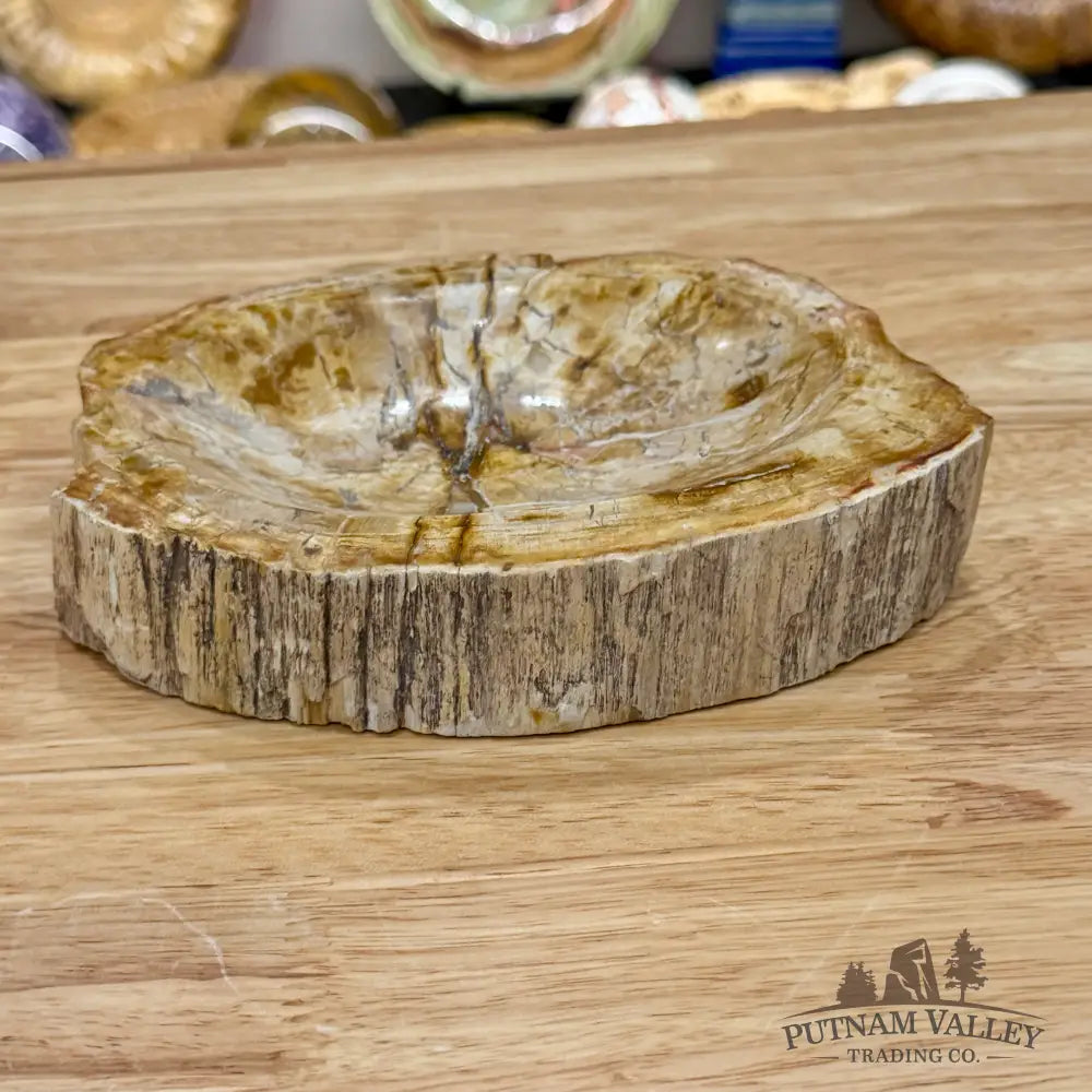 Reserve Madagascar Petrified Wood Rustic Bowl 6.85’’ - Bowl