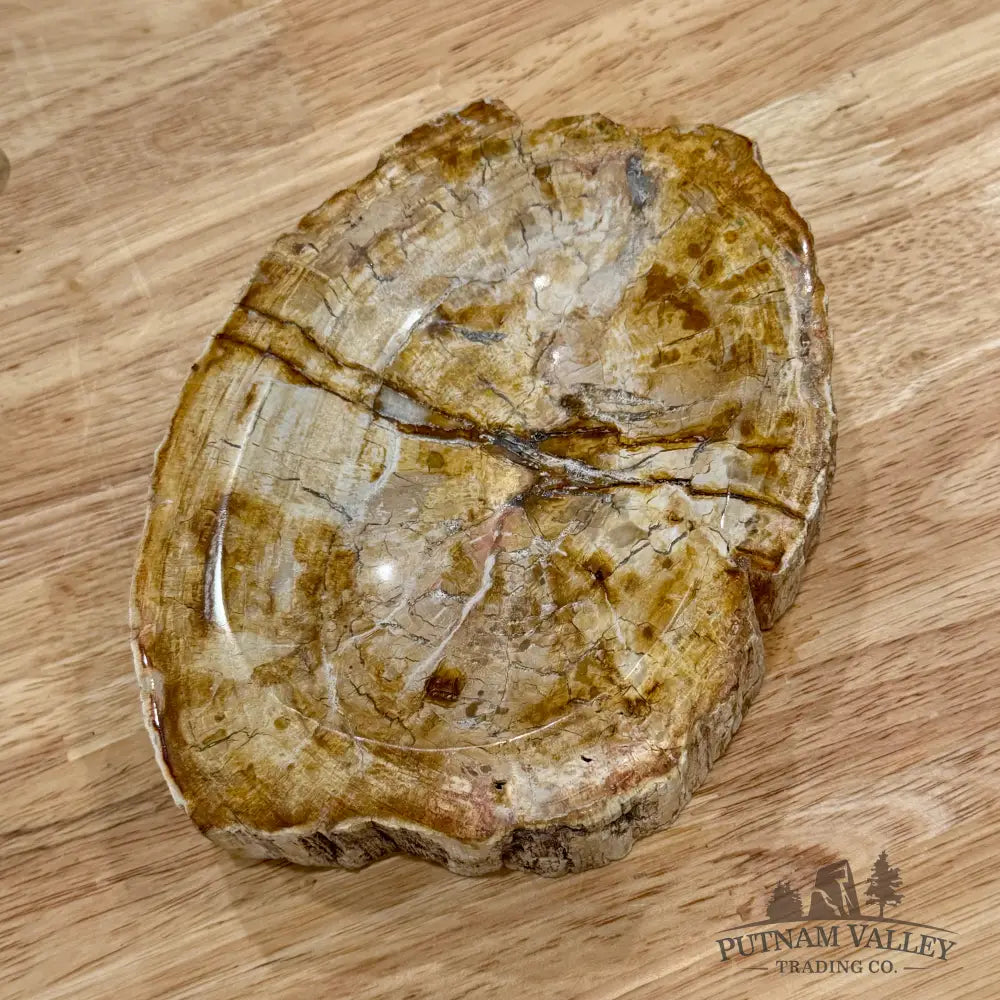 Reserve Madagascar Petrified Wood Rustic Bowl 6.85’’ - Bowl
