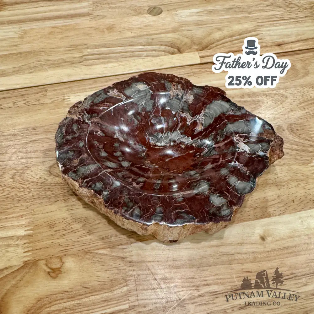 Petrified Wood Rustic Bowl 7’’ Bowl