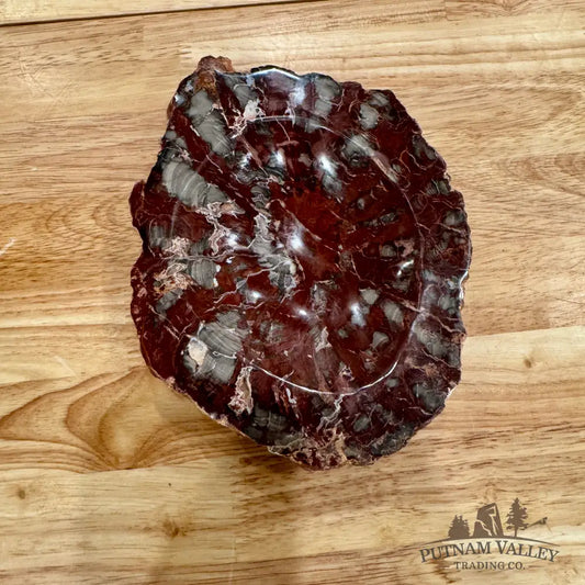 Petrified Wood Rustic Bowl 7’’ Bowl