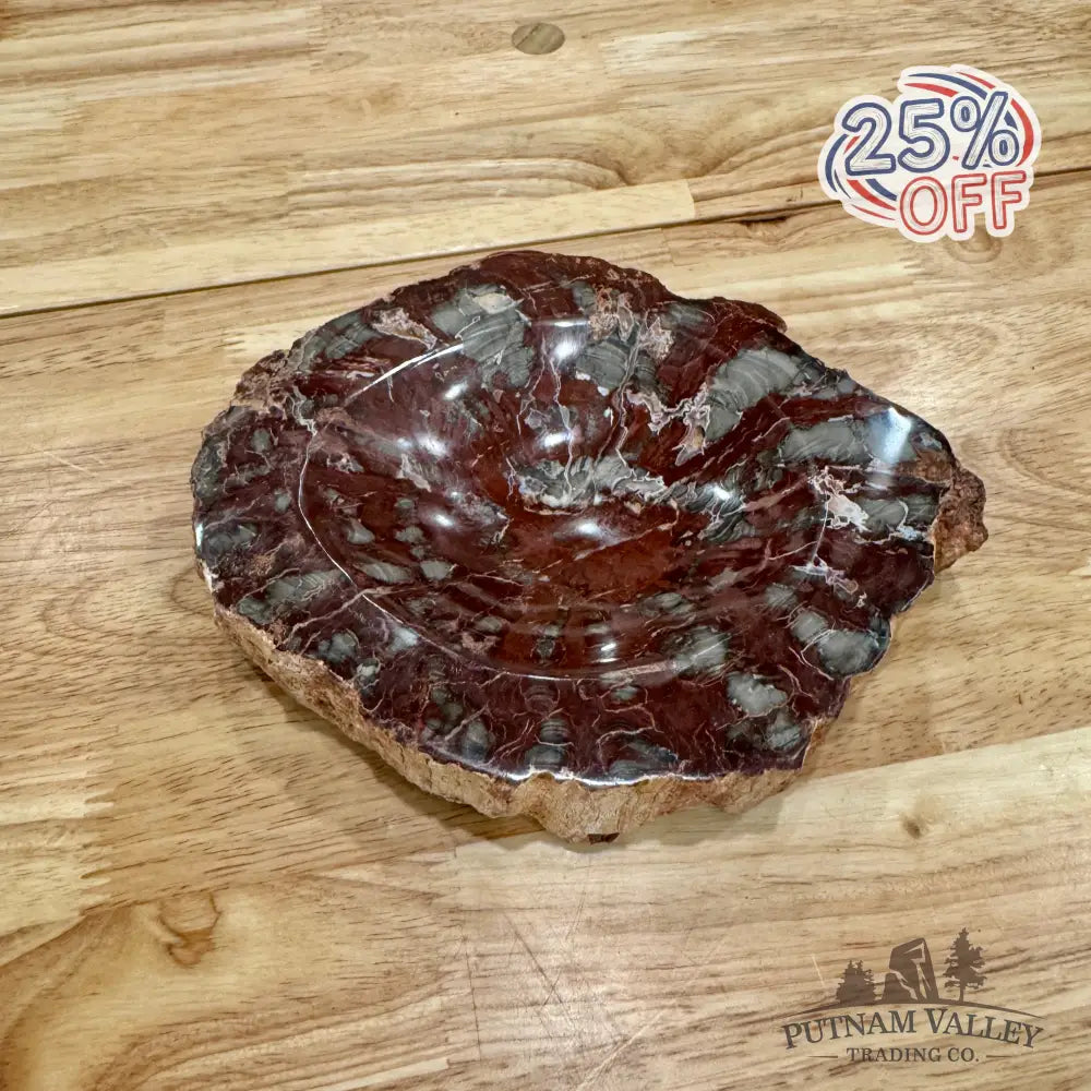 Petrified Wood Rustic Bowl 7’’ Bowl