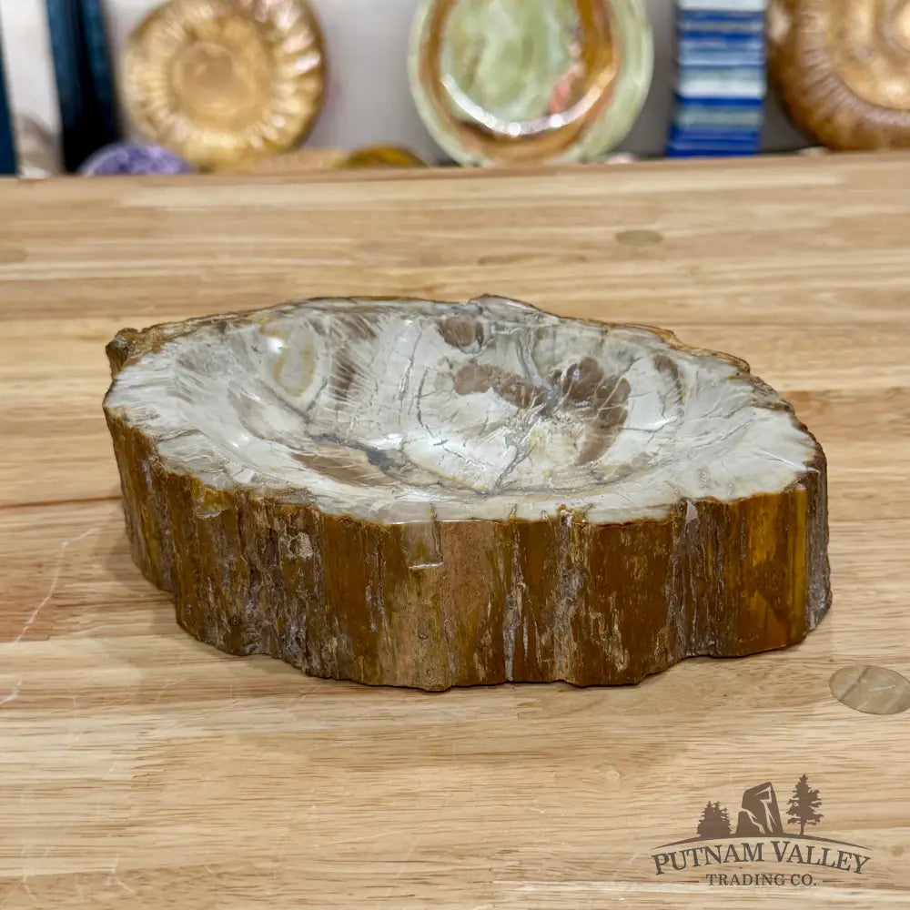 Reserve Madagascar Petrified Wood Rustic Bowl 7.77’’ - Bowl