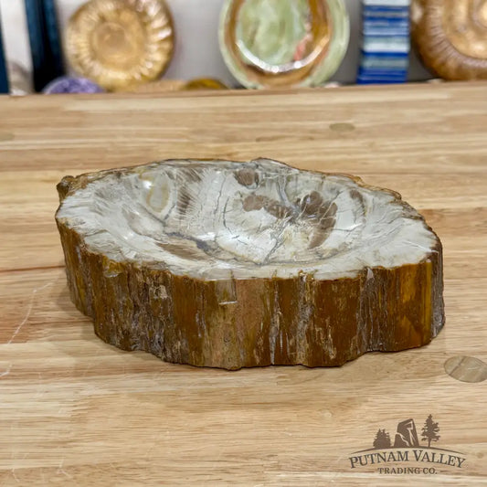 Reserve Madagascar Petrified Wood Rustic Bowl 7.77’’ - Bowl