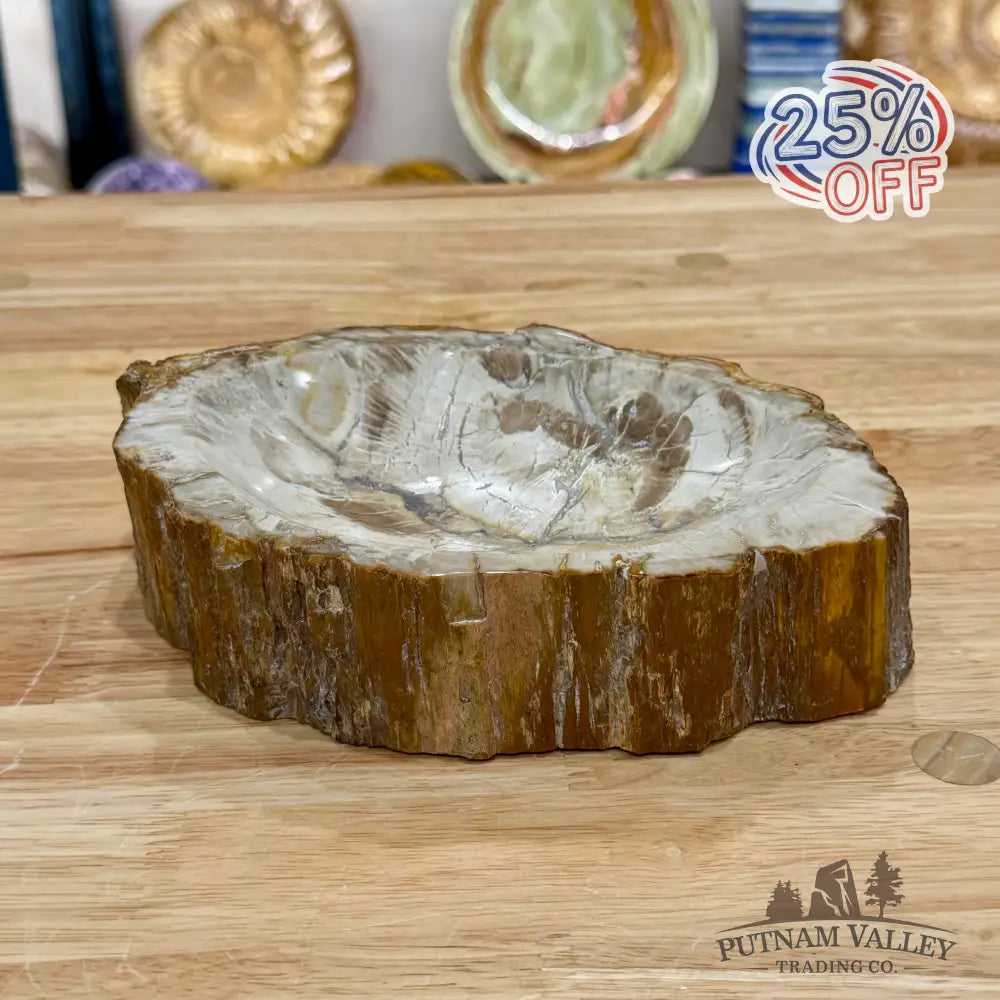 Reserve Madagascar Petrified Wood Rustic Bowl 7.77’’ - Bowl