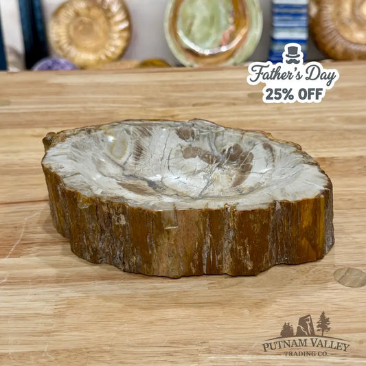 Reserve Madagascar Petrified Wood Rustic Bowl 7.77’’ - Bowl