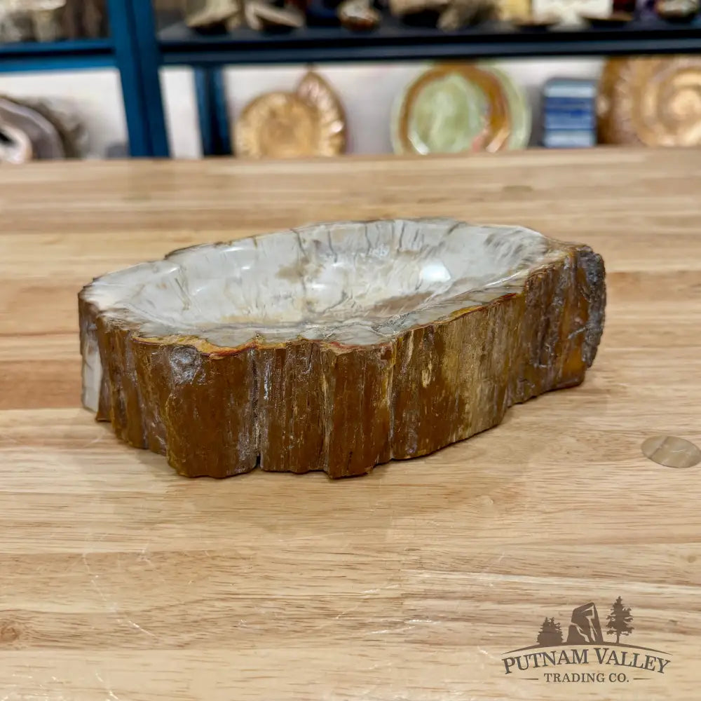 Reserve Madagascar Petrified Wood Rustic Bowl 7.77’’ - Bowl