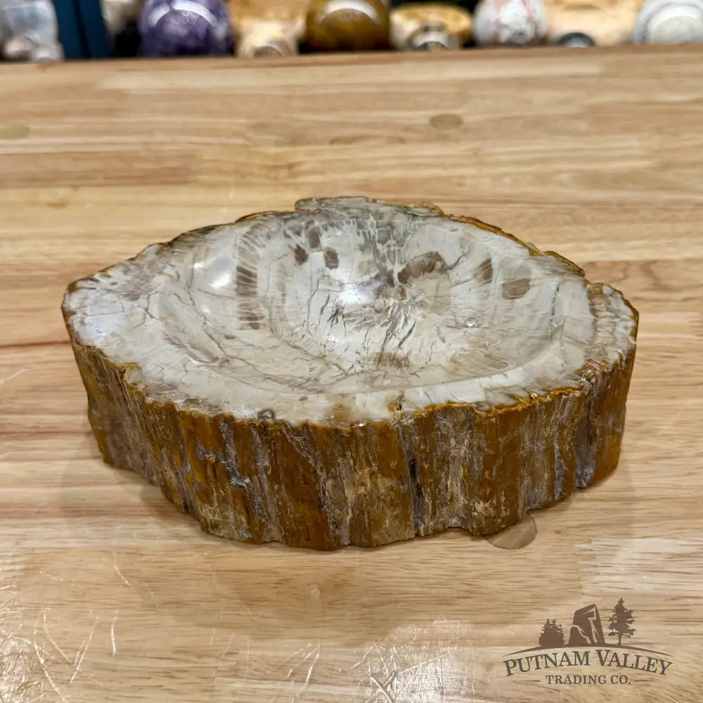 Reserve Madagascar Petrified Wood Rustic Bowl 7.88’’ - Bowl