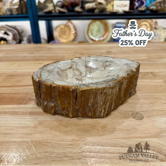 Reserve Madagascar Petrified Wood Rustic Bowl 7.88’’ - Bowl