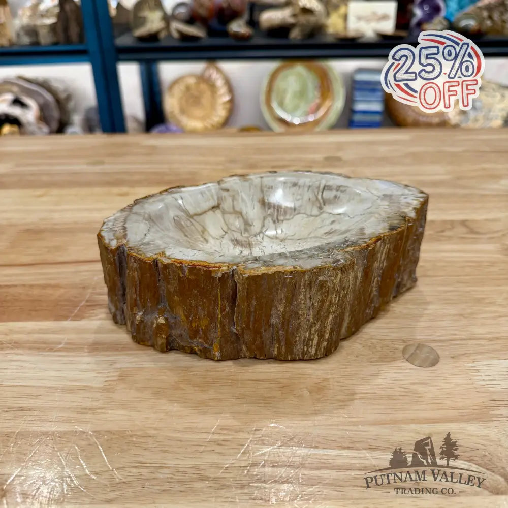 Reserve Madagascar Petrified Wood Rustic Bowl 7.88’’ - Bowl