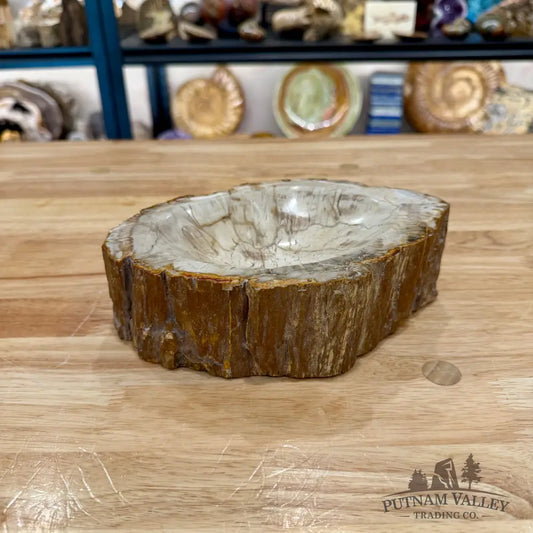 Reserve Madagascar Petrified Wood Rustic Bowl 7.88’’ - Bowl