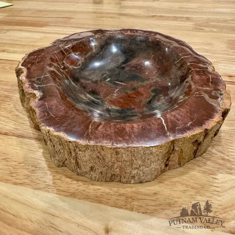Reserve Madagascar Petrified Wood Rustic Bowl 8.5’’ Bowl
