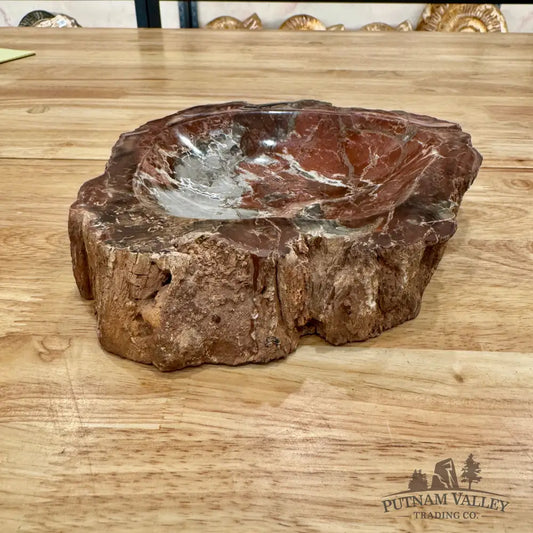 Reserve Madagascar Petrified Wood Rustic Bowl 8.5’’ Bowl