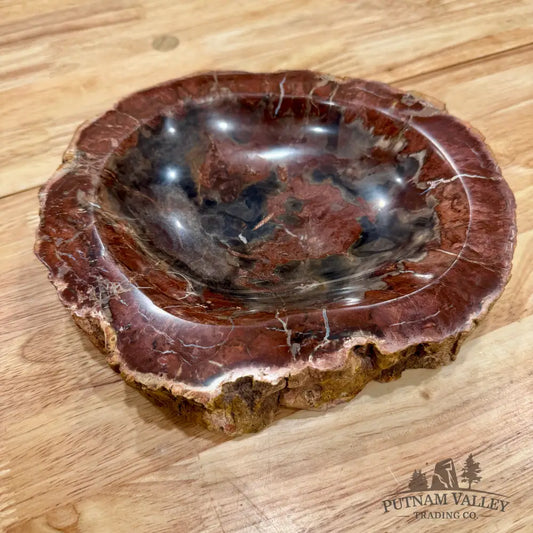 Reserve Madagascar Petrified Wood Rustic Bowl 8.5’’ Bowl