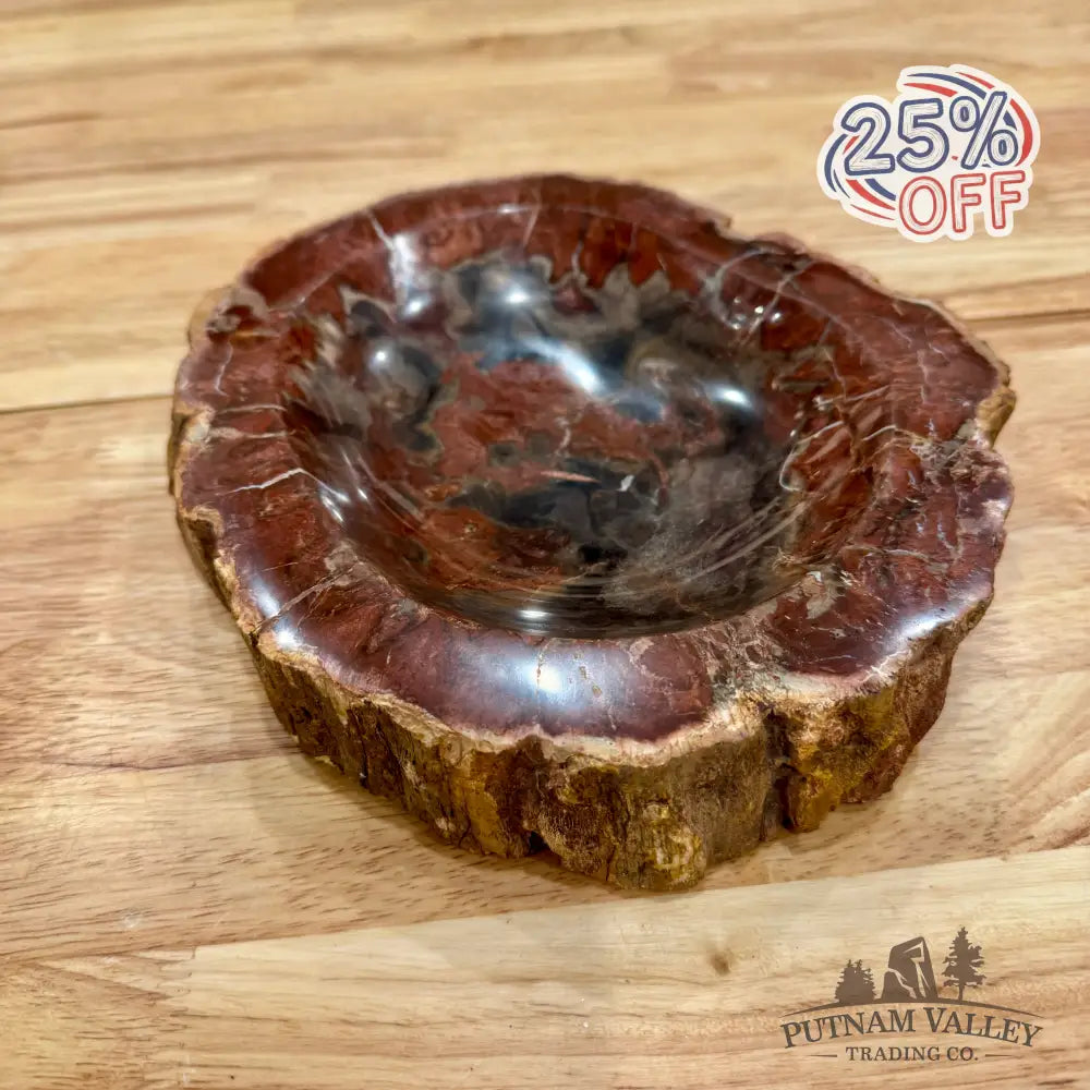 Reserve Madagascar Petrified Wood Rustic Bowl 8.5’’ Bowl