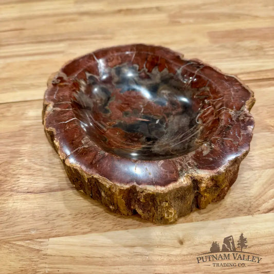 Reserve Madagascar Petrified Wood Rustic Bowl 8.5’’ Bowl
