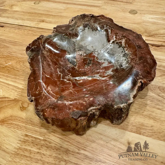 Reserve Madagascar Petrified Wood Rustic Bowl 8.5’’ Bowl