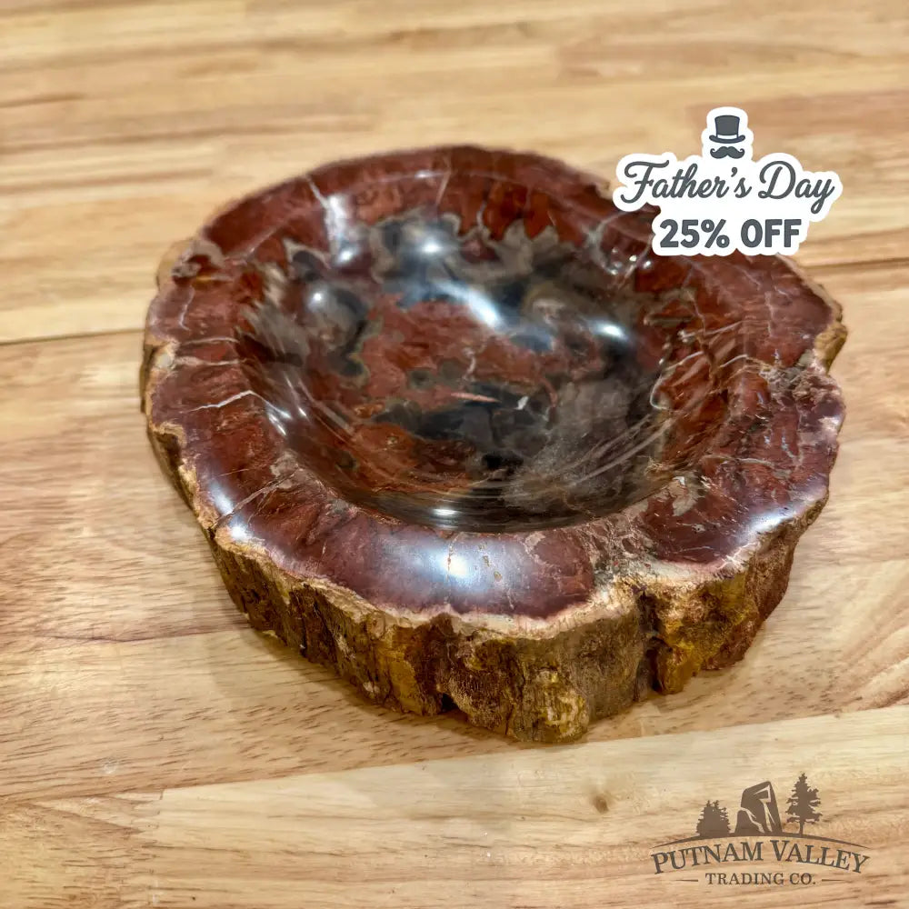 Reserve Madagascar Petrified Wood Rustic Bowl 8.5’’ Bowl