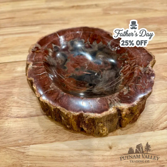 Reserve Madagascar Petrified Wood Rustic Bowl 8.5’’ Bowl