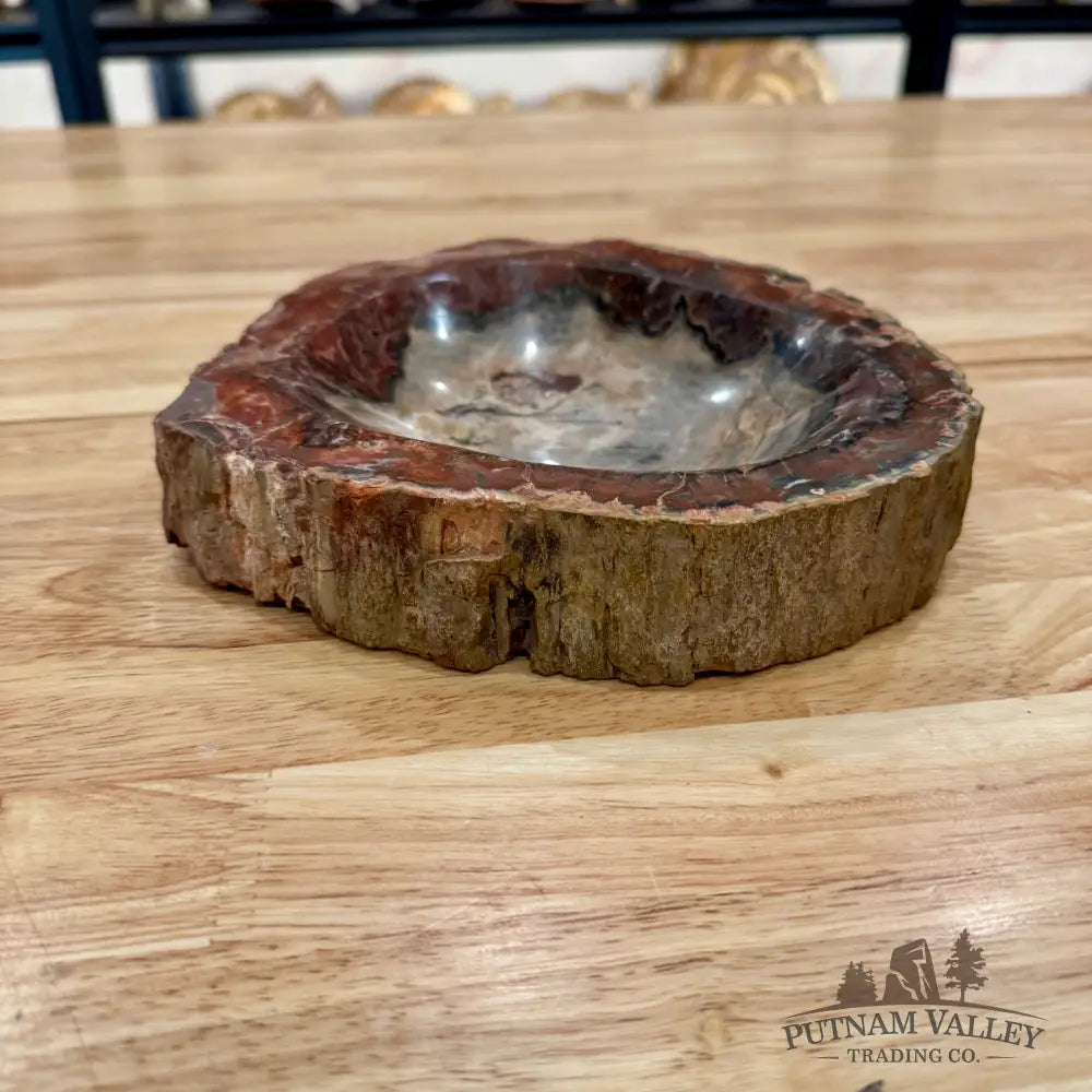 Reserve Madagascar Petrified Wood Rustic Bowl 8’’ Bowl