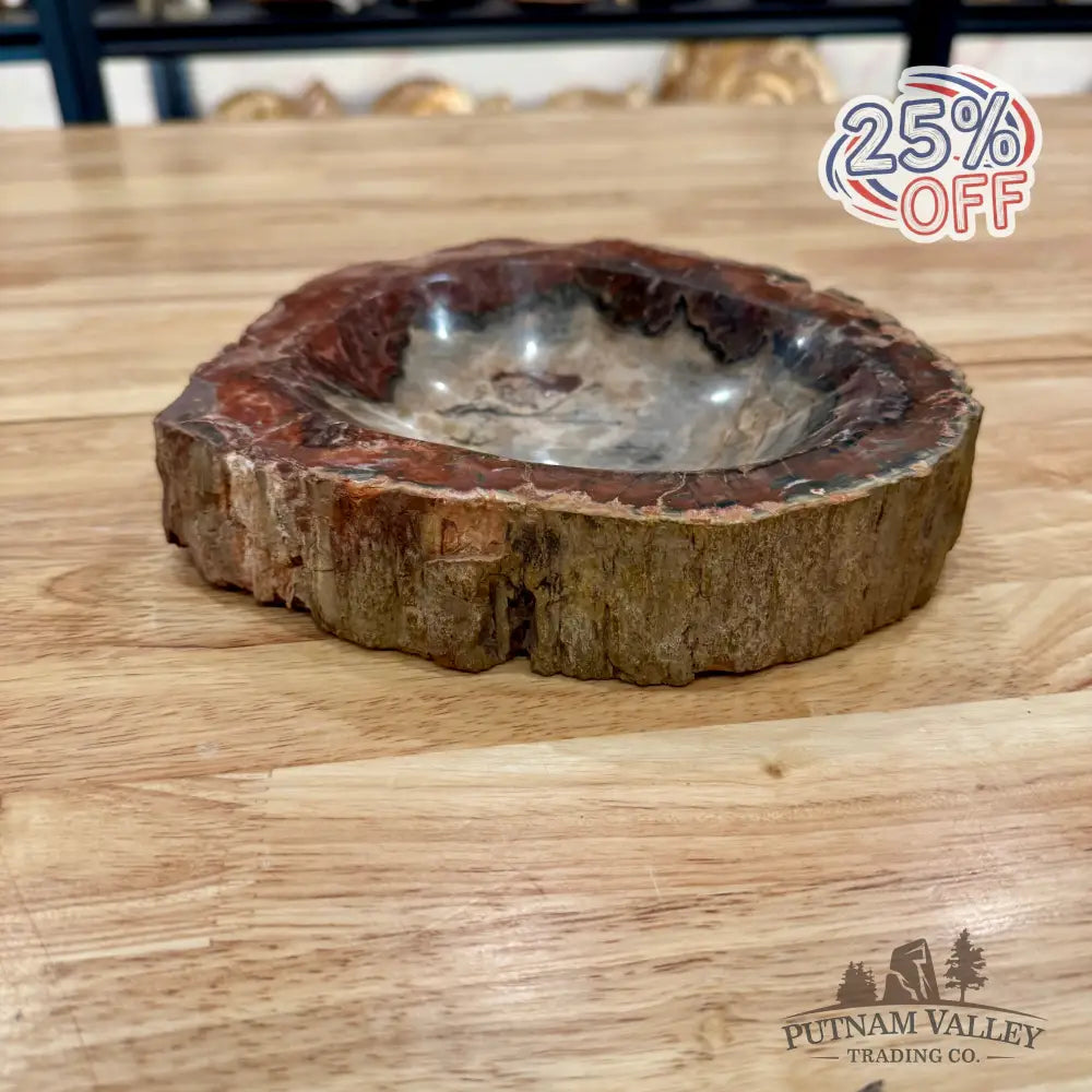 Reserve Madagascar Petrified Wood Rustic Bowl 8’’ Bowl