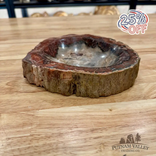 Reserve Madagascar Petrified Wood Rustic Bowl 8’’ Bowl