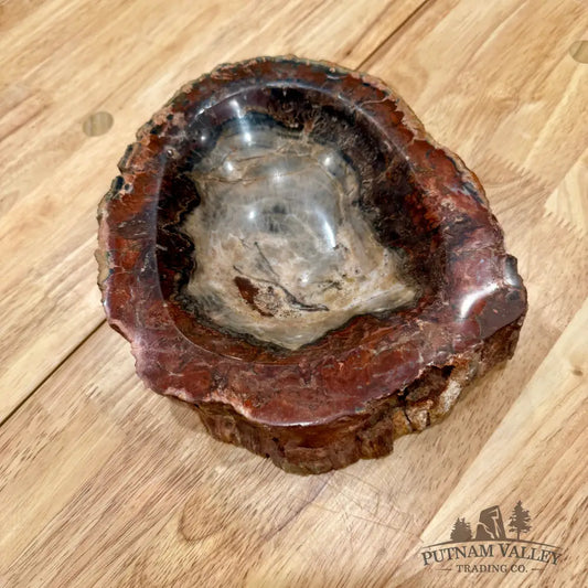 Reserve Madagascar Petrified Wood Rustic Bowl 8’’ Bowl