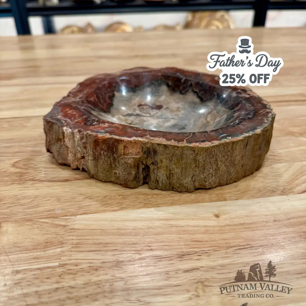 Reserve Madagascar Petrified Wood Rustic Bowl 8’’ Bowl