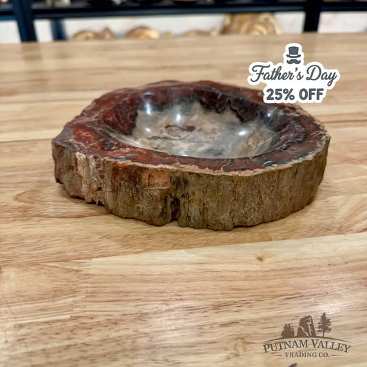 Reserve Madagascar Petrified Wood Rustic Bowl 8’’ Bowl