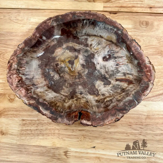 Madagascar Petrified Wood Rustic Bowl 9’’ Bowl