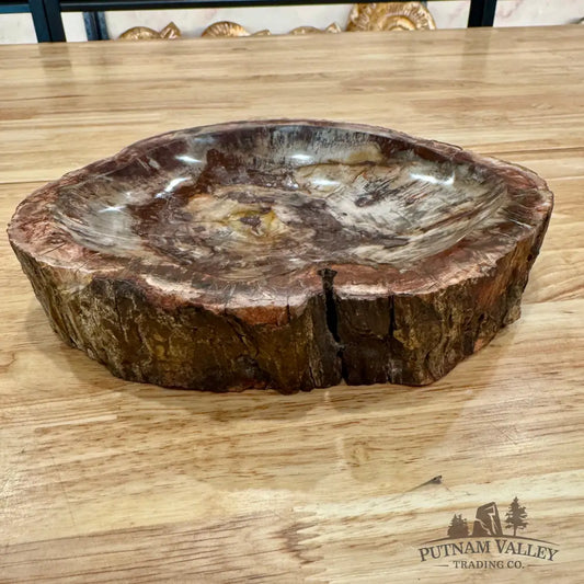 Madagascar Petrified Wood Rustic Bowl 9’’ Bowl