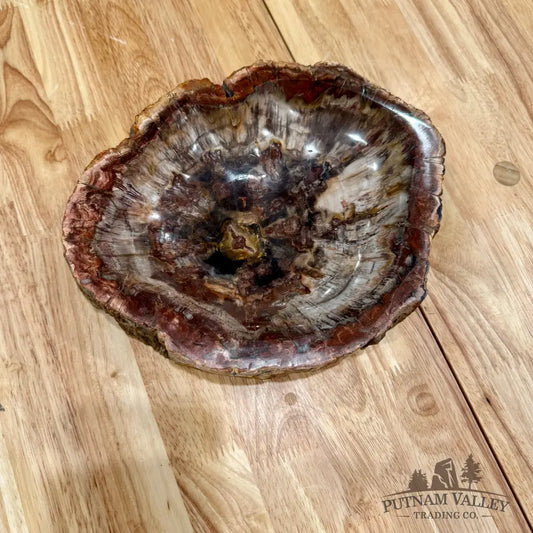 Reserve Madagascar Petrified Wood Rustic Bowl 9’’ Bowl