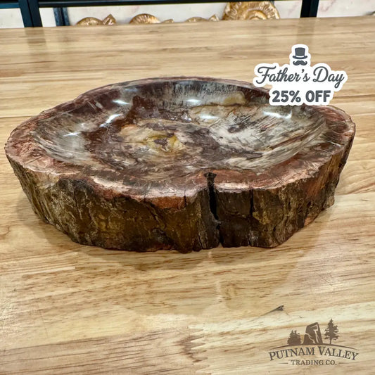 Madagascar Petrified Wood Rustic Bowl 9’’ Bowl