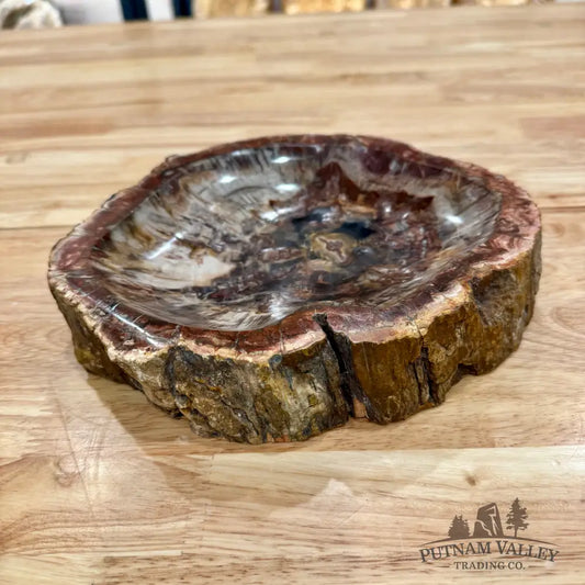 Reserve Madagascar Petrified Wood Rustic Bowl 9’’ Bowl