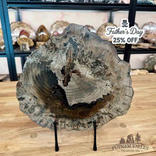 Madagascar Petrified Wood Slab 11.4’’ Slab