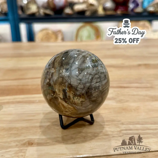 Reserve Petrified Wood Sphere 3.1’’ Sphere