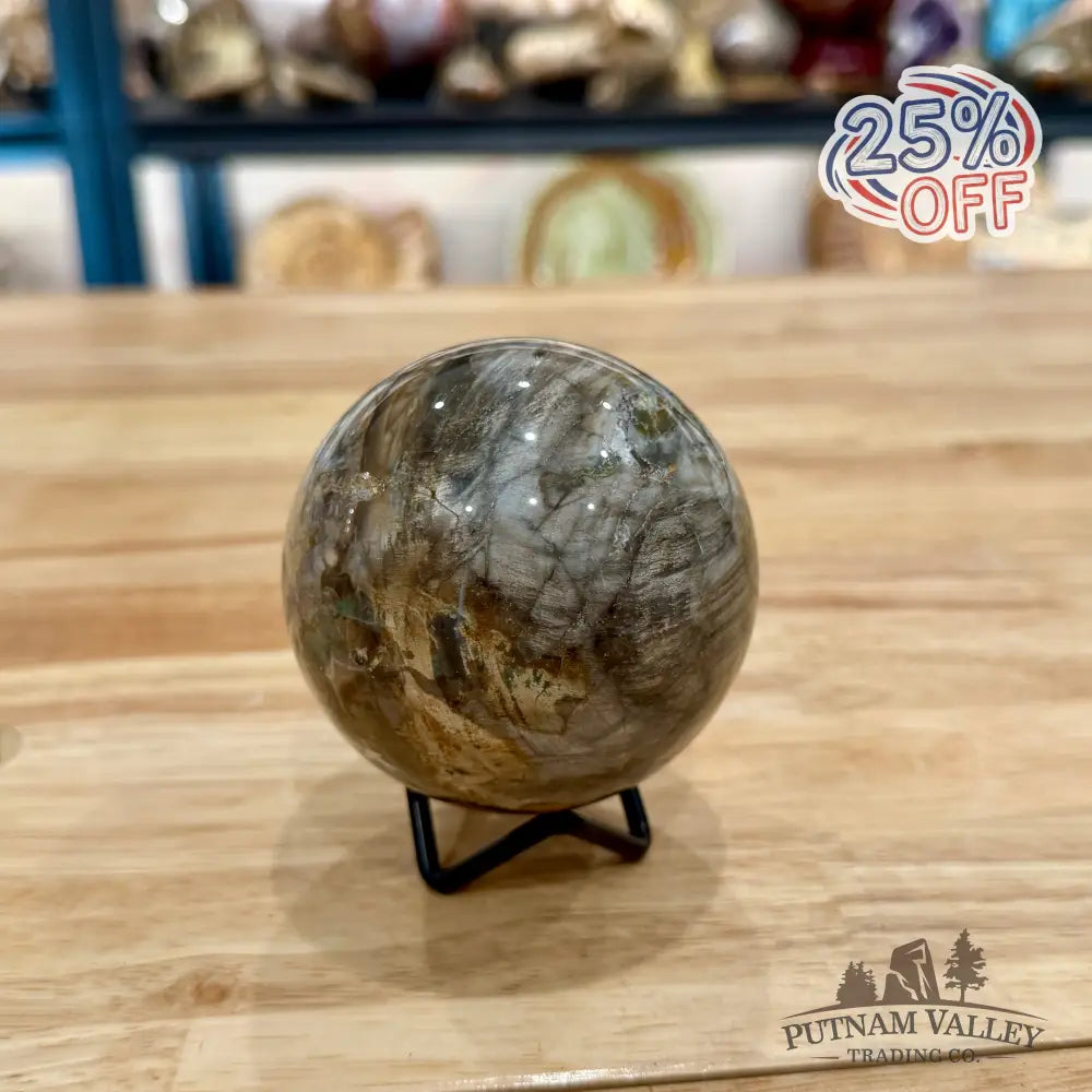 Reserve Petrified Wood Sphere 3.1’’ Sphere