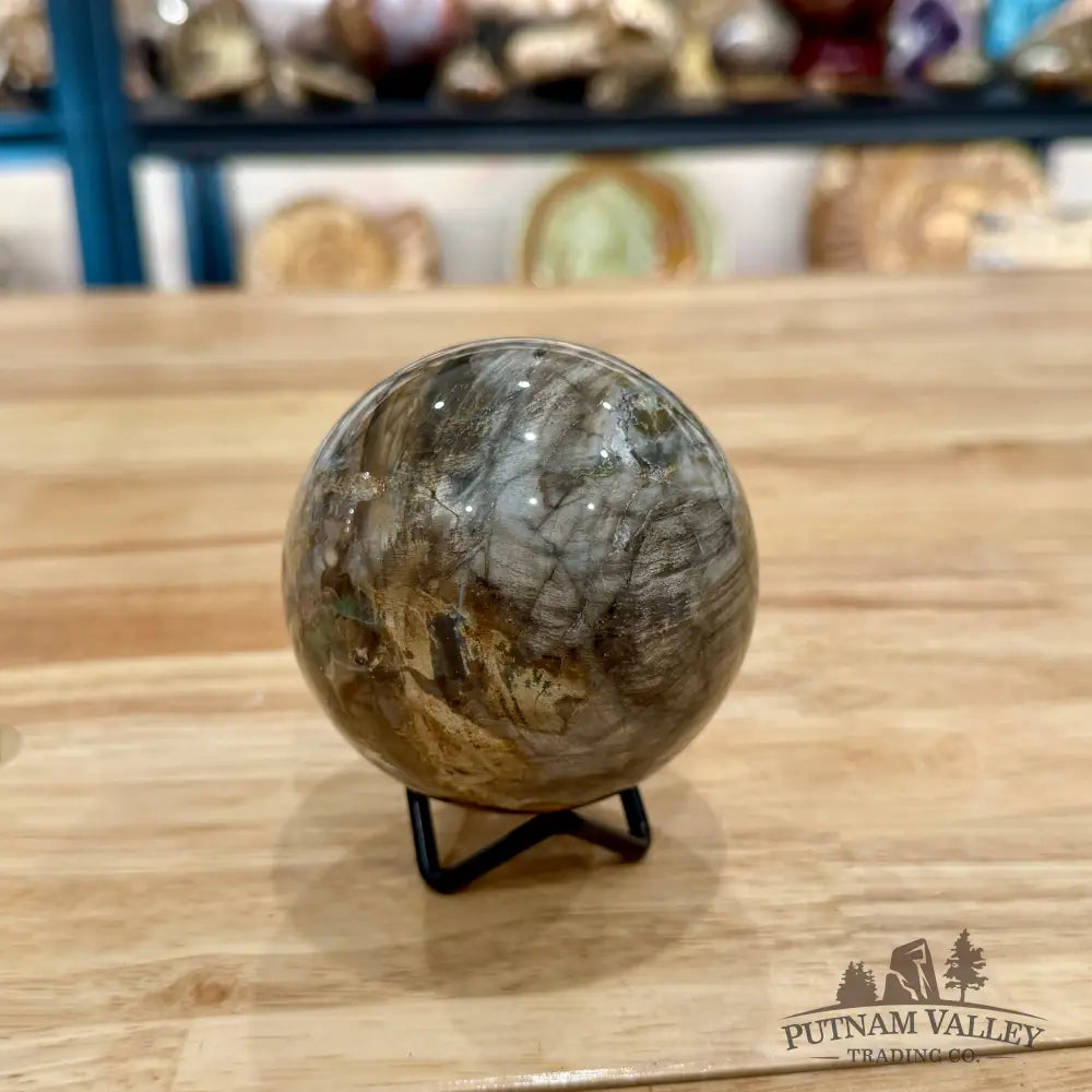Reserve Petrified Wood Sphere 3.1’’ Sphere