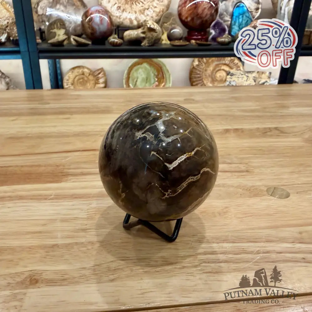 Reserve Petrified Wood Sphere 3.13’’ Sphere