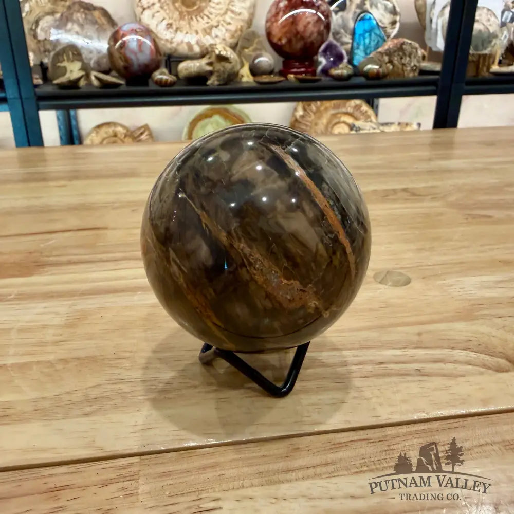 Reserve Petrified Wood Sphere 3.13’’ Sphere