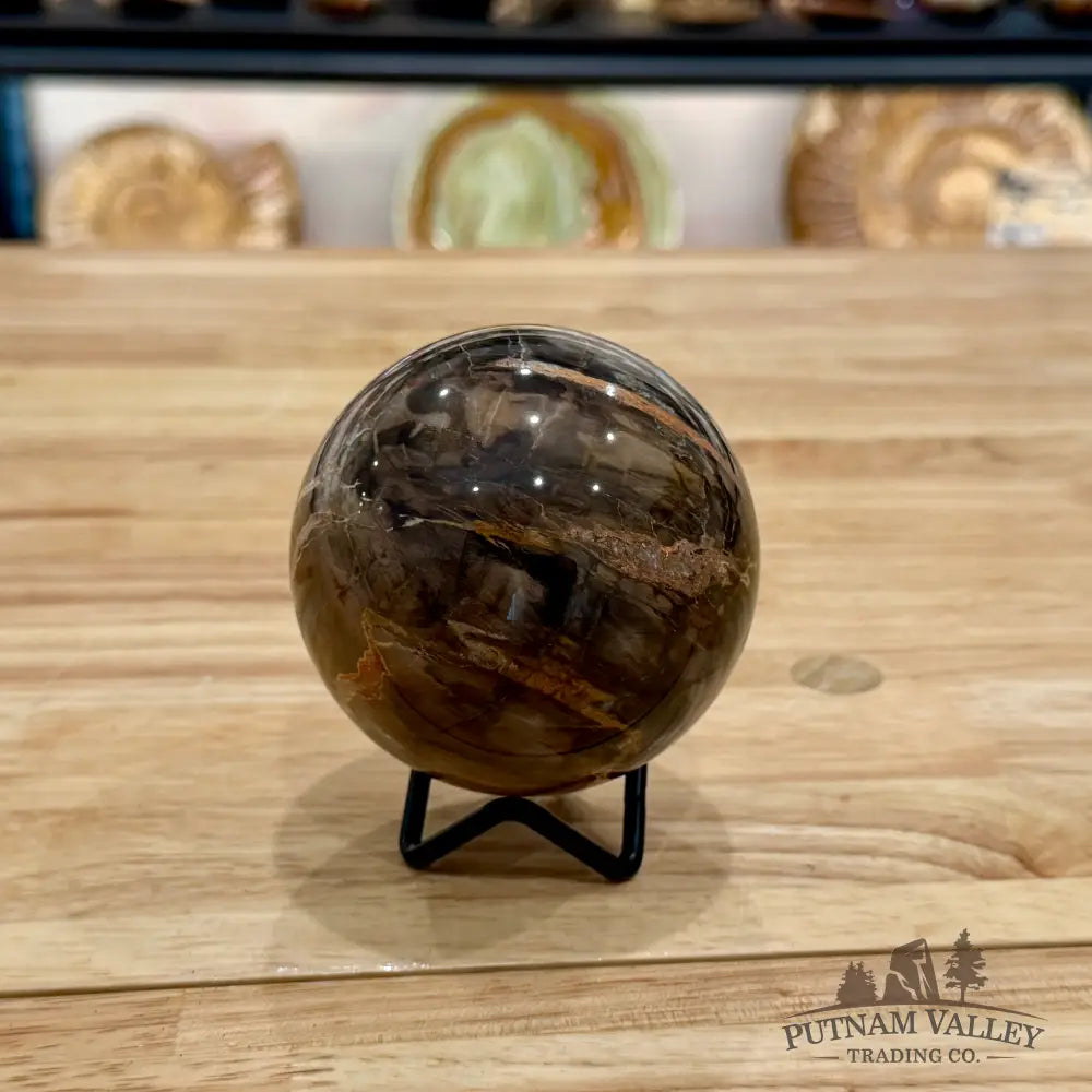 Reserve Petrified Wood Sphere 3.13’’ Sphere